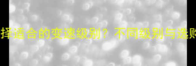 如何选择适合的变速级别不同级别与选购指南
