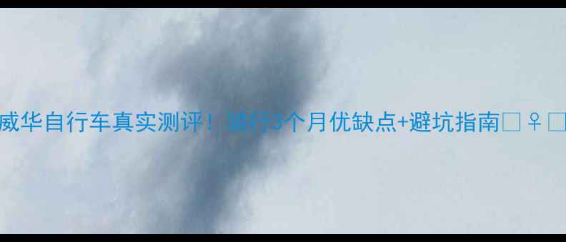 威华自行车真实测评骑行3个月优缺点避坑指南