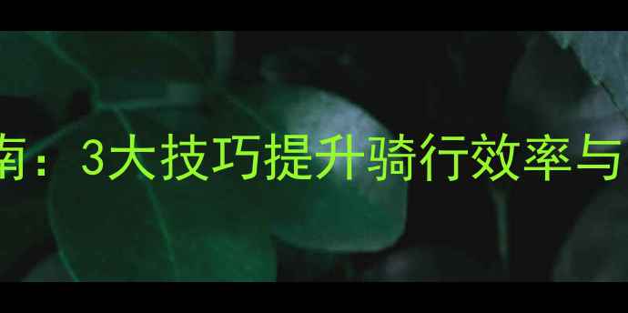 山地自行车坐姿调整指南3大技巧提升骑行效率与安全性附详细图解