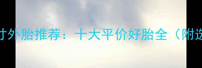 山地车28寸外胎推荐十大平价好胎全附选购指南