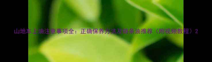 山地车上油注意事项全正确保养方法及链条油推荐附视频教程