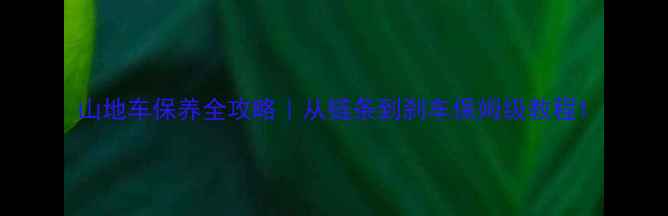 山地车保养全攻略从链条到刹车保姆级教程