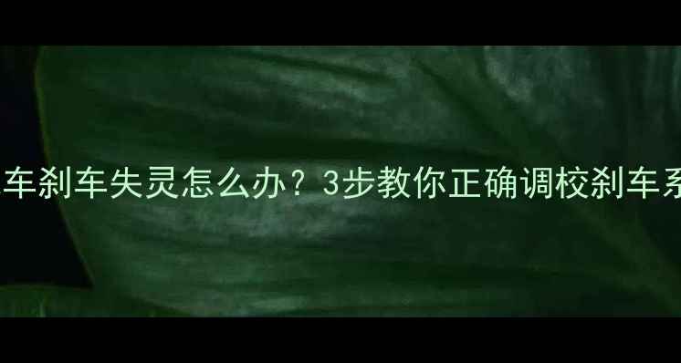 山地车刹车失灵怎么办3步教你正确调校刹车系统