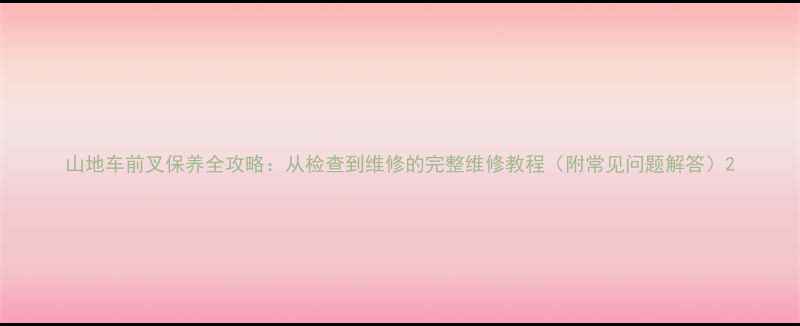 山地车前叉保养全攻略从检查到维修的完整维修教程附常见问题解答