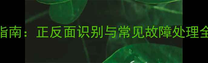 山地车后拨导轮安装指南正反面识别与常见故障处理全附3步安装教程