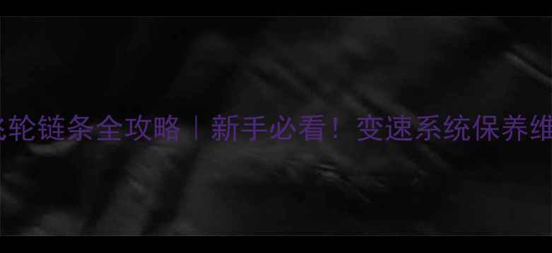 山地车后轮飞轮链条全攻略新手必看变速系统保养维修避坑指南