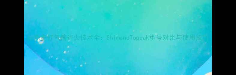 山地车打气筒省力技术全ShimanoTopeak型号对比与使用技巧