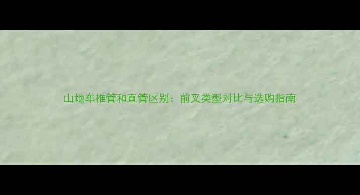 山地车椎管和直管区别前叉类型对比与选购指南