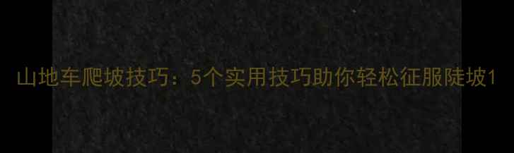 山地车爬坡技巧5个实用技巧助你轻松征服陡坡