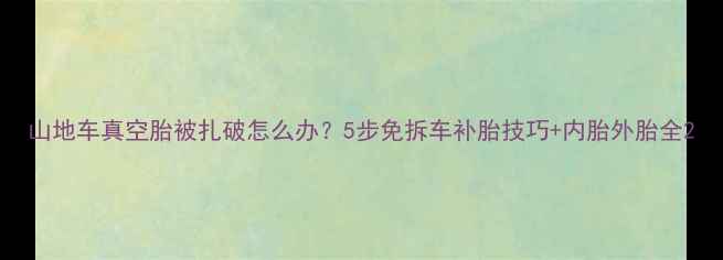 山地车真空胎被扎破怎么办5步免拆车补胎技巧内胎外胎全