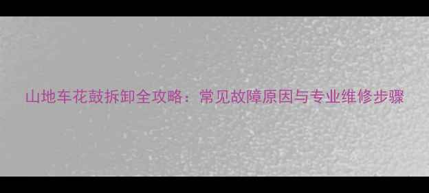 山地车花鼓拆卸全攻略常见故障原因与专业维修步骤