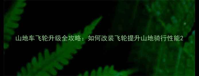 山地车飞轮升级全攻略如何改装飞轮提升山地骑行性能