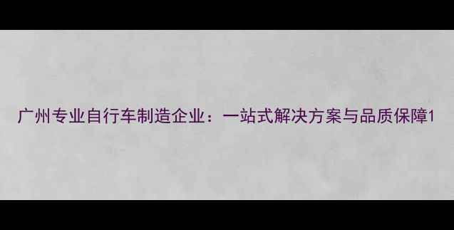 广州专业自行车制造企业一站式解决方案与品质保障