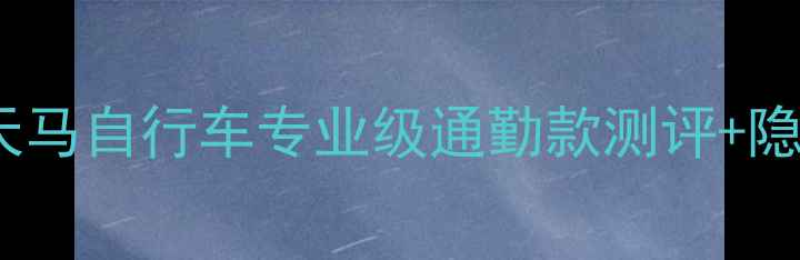 广州骑行党必看天马自行车专业级通勤款测评隐藏福利攻略