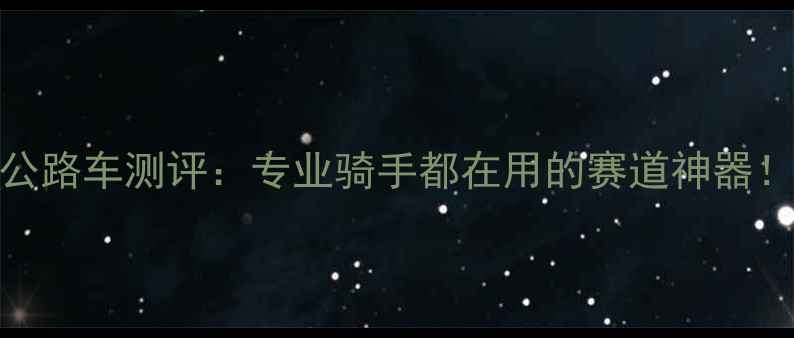 德国Rohling公路车测评专业骑手都在用的赛道神器附选购指南