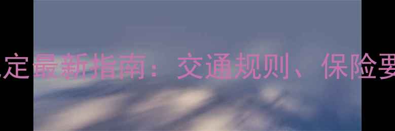德国自行车骑行规定最新指南交通规则保险要求和处罚标准全