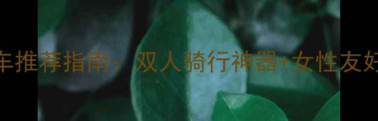 必入前置踏板自行车推荐指南双人骑行神器女性友好设计亲子出行必备
