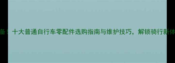 必备十大普通自行车零配件选购指南与维护技巧解锁骑行新体验