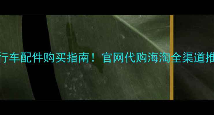 必看全网最全自行车配件购买指南官网代购海淘全渠道推荐附避坑攻略