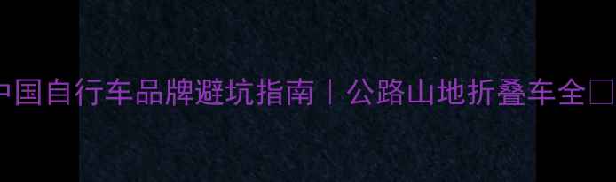 必看中国自行车品牌避坑指南公路山地折叠车全