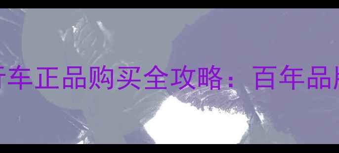意大利原装梅花自行车正品购买全攻略百年品牌历史与性价比攻略