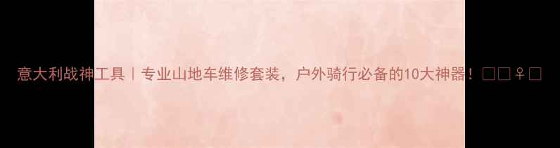 意大利战神工具专业山地车维修套装户外骑行必备的10大神器