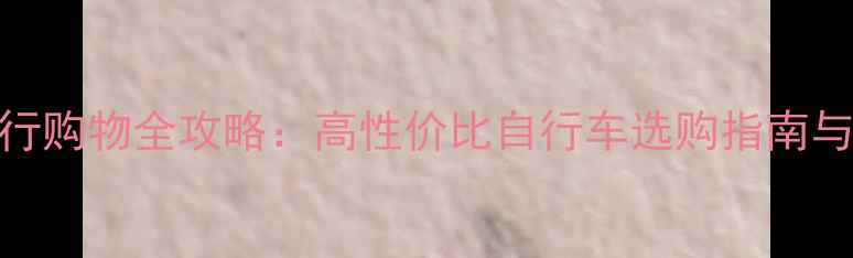 意大利骑行购物全攻略高性价比自行车选购指南与避坑贴士