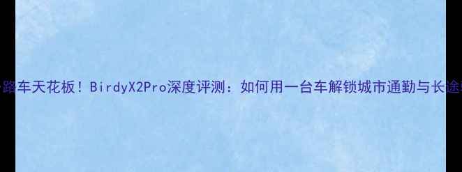 折叠公路车天花板BirdyX2Pro深度评测如何用一台车解锁城市通勤与长途骑行
