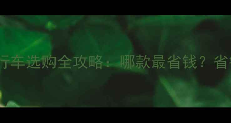 折叠自行车选购全攻略哪款最省钱省钱指南