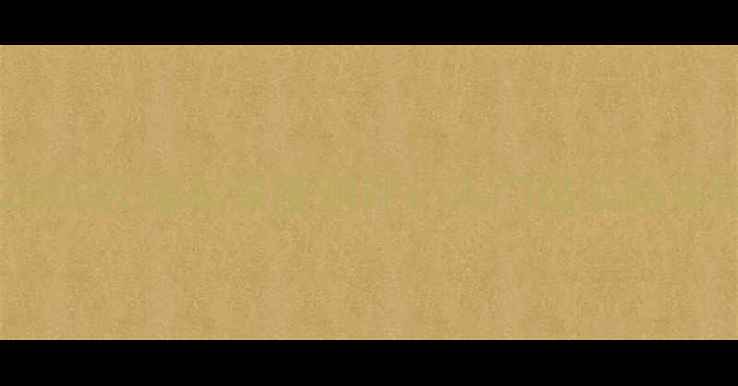 捷安特ATX3300公路车深度测评入门级公路车性价比之选