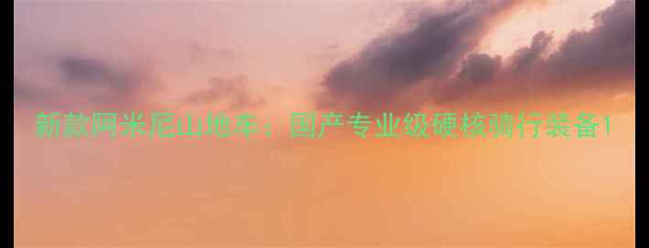 新款阿米尼山地车国产专业级硬核骑行装备