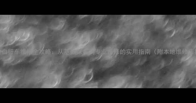 新西兰自行车维修全攻略从基础保养到专业维修的实用指南附本地维修店推荐