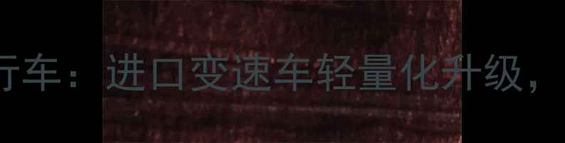 日本SILK公路自行车进口变速车轻量化升级舒适骑行新标杆