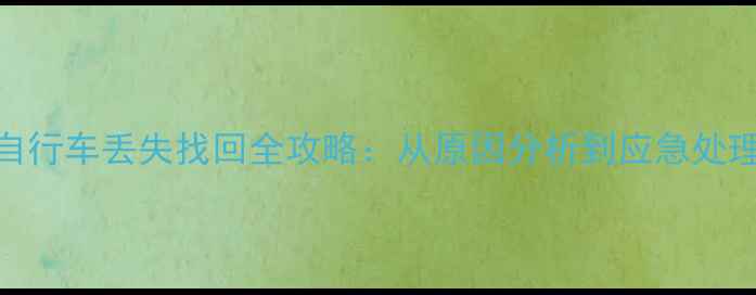 普信达公共自行车丢失找回全攻略从原因分析到应急处理保姆级指南