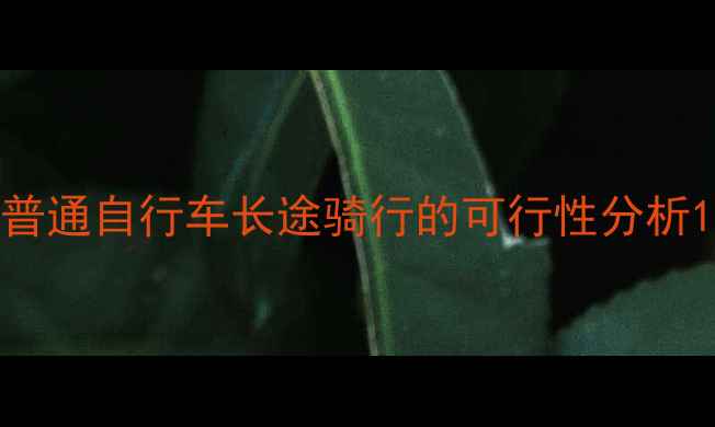 普通自行车长途骑行的可行性分析