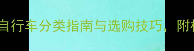 最新全攻略自行车分类指南与选购技巧附核心参数对比