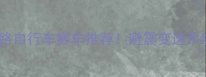 最新款专业级公路自行车赛车推荐避震变速系统选购避坑指南