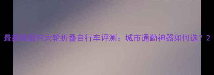最新款国内大轮折叠自行车评测城市通勤神器如何选
