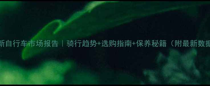 最新自行车市场报告骑行趋势选购指南保养秘籍附最新数据