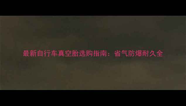 最新自行车真空胎选购指南省气防爆耐久全