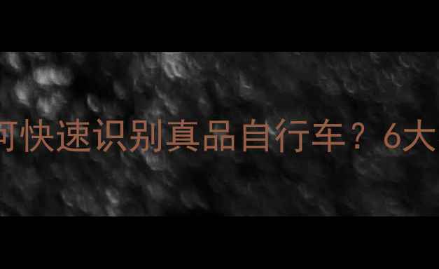 最新辨别技巧如何快速识别真品自行车6大核心特征防伪指南