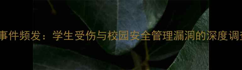校园自行车胎被扎事件频发学生受伤与校园安全管理漏洞的深度调查附解决方案