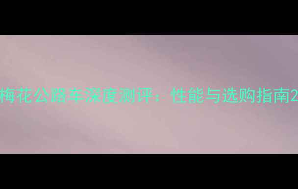 梅花公路车深度测评性能与选购指南