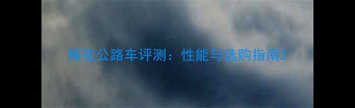 梅花公路车评测性能与选购指南