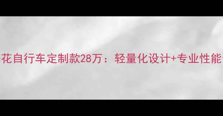 梅花自行车定制款28万轻量化设计专业性能全