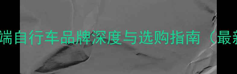 欧洲高端自行车品牌深度与选购指南最新版