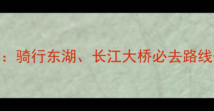 武汉租自行车全攻略骑行东湖长江大桥必去路线安全指南费用清单