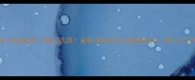 比赛自行车轮胎尺寸如何选择最新参数对比与选购指南附尺寸对照表