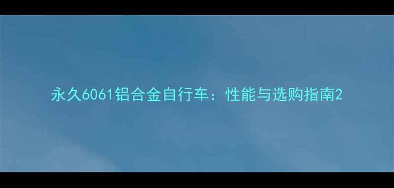 永久6061铝合金自行车性能与选购指南
