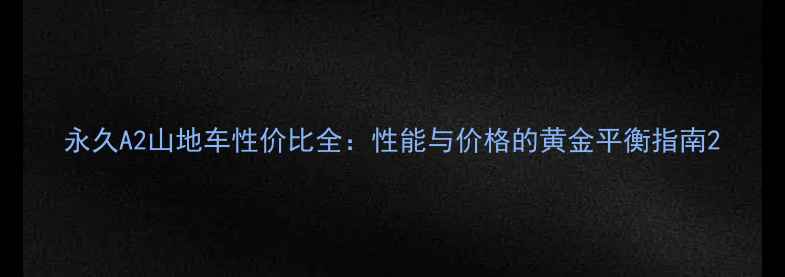 永久A2山地车性价比全性能与价格的黄金平衡指南